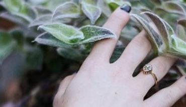 Ученые из Праги создали антимикробные безопасные наночастицы из растений